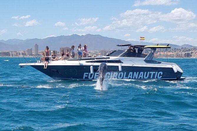 Boat Trip in Fuengirola, Dolphin Watching and Drinks - Meeting and Ending Points