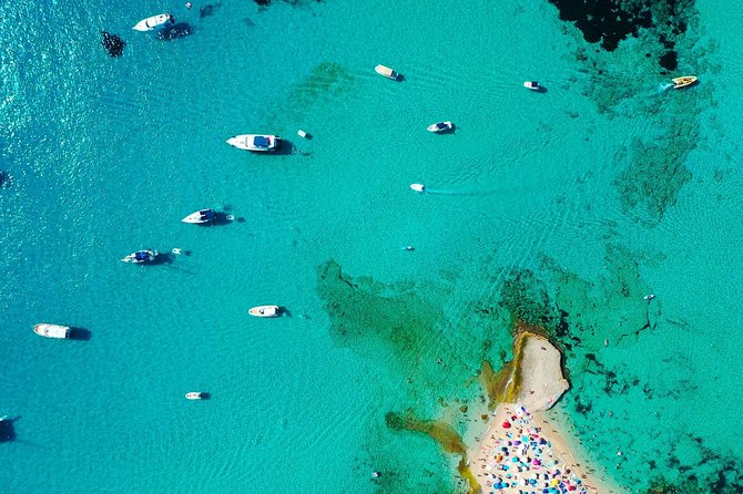 Cala Salada and Unspoiled North Beach Tour. Snorkelling and Aquarium - Negative Feedback
