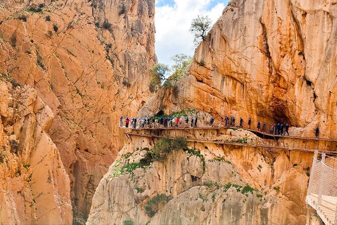 Caminito Del Rey With Pickup From Málaga City - Tour Experience and Feedback