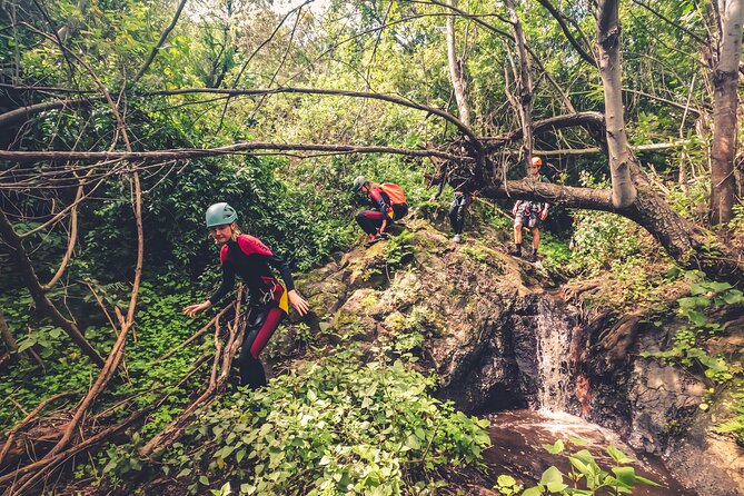 Canyoning With Waterfalls in the Rainforest - Small Groups ツ - Pickup and Logistics