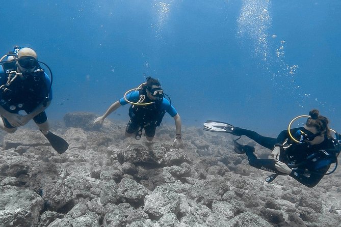 Catalina Island Diving Tour From Tamarindo - Certified Only - Tour Inclusions