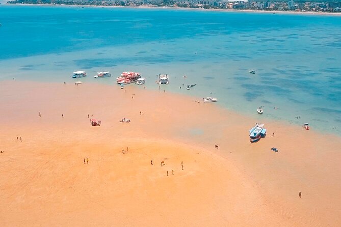 Catamaran Trip to Areia Vermelha Island With Transfer - Accessibility and Participation