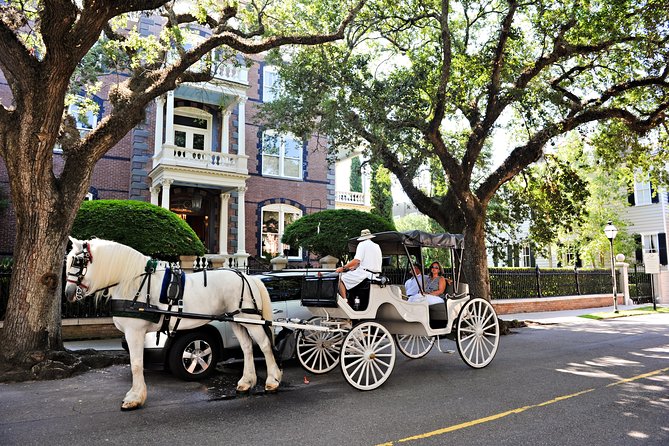 Charleston Private Daytime Horse-Drawn Carriage Tour - Customer Reviews and Feedback