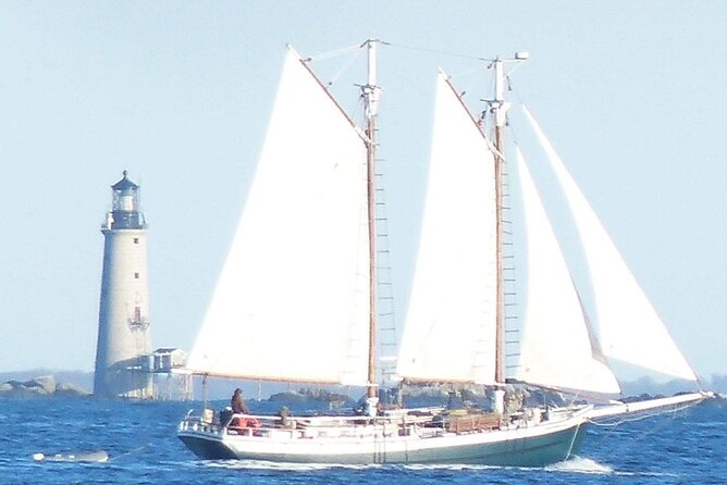 Classic Tall Ship Sightseeing Cruise of Boston Harbor - Cruise Capacity and Passenger Information