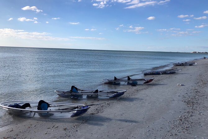 Clear Kayak Guided Eco Tour in North Naples - The Guided Learning Experience