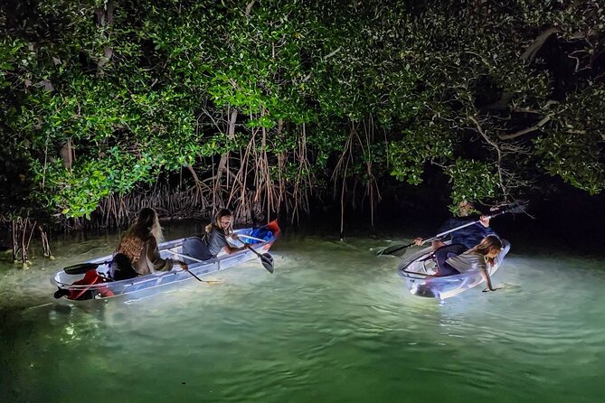 Clear Kayak LED Night Glass Bottom Tour - Sarasota - Customer Reviews and Feedback