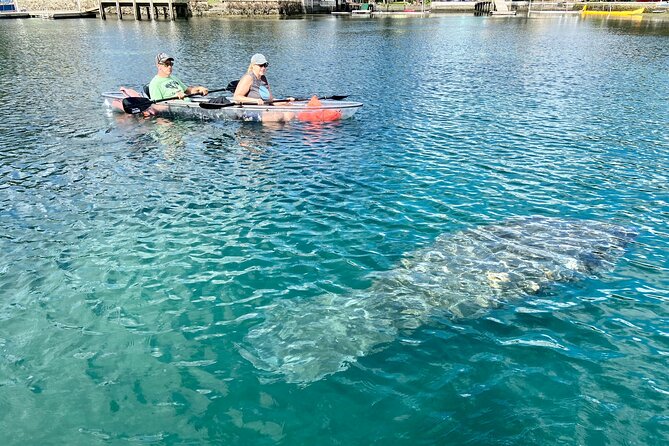Clear Kayak Tour of Crystal River - Customer Feedback
