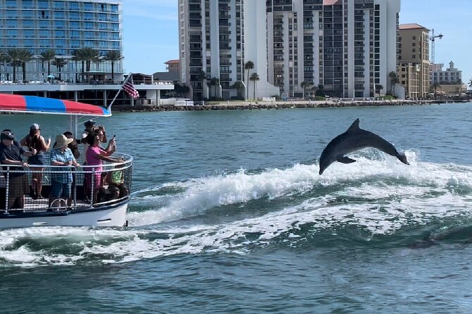 Clearwater Encounters With Dolphins Tour - Tour Capacity and Accessibility
