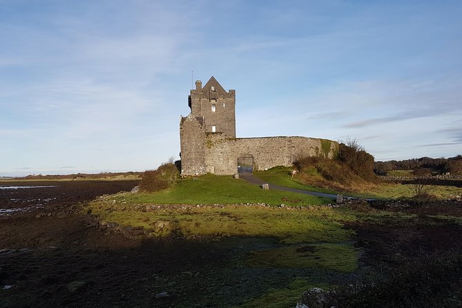 Cliffs of Moher & Burren Tour - 2 Hour Stop at Cliffs of Moher - Traveler Feedback
