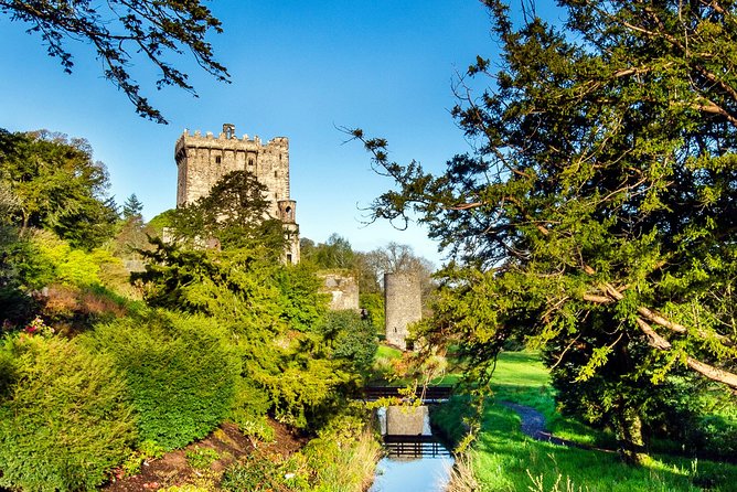 Cobh (Cork) to Blarney Castle & Kinsale - Shore Excursion - Traveler Reviews and Experiences