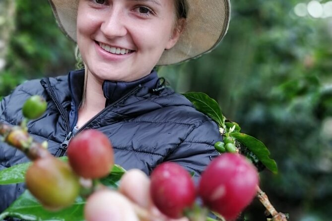 Cocora Valley, Salento and Coffee Farm Day Tour - Visiting the Coffee Farm