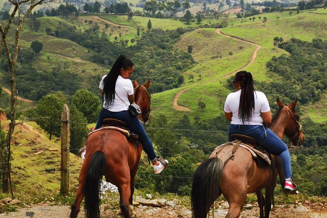 Coffee & Horses Private Tour in Medellin: A Fun & Authentic Day - Discovering the Coffee Production Process