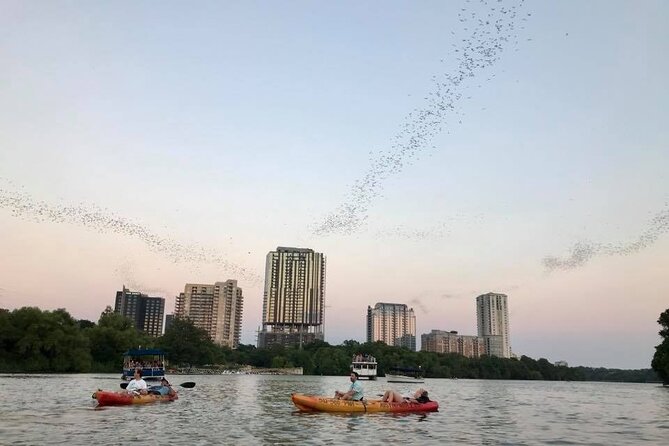 Congress Avenue Bat Bridge Kayak Tour in Austin - Meeting Point and Location