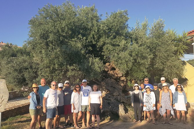 Crete Wine and Olive Oil Tour - Tour Policies and Accessibility