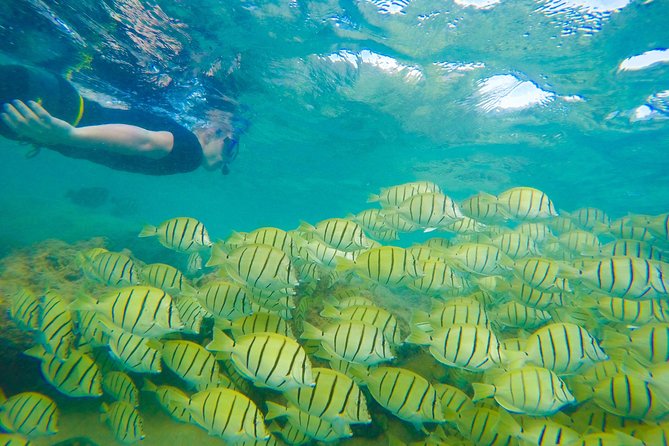 Customizable Island Tours Tours on Oahu - Inclusions and Amenities