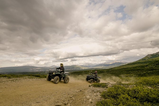 Denali ATV Trailblazer 3.5 Hour Tour - Wildlife Sightings and Photo Opportunities