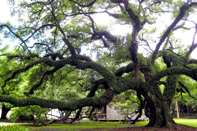 Destrehan Plantation Tour - Tour Pricing and Group Size