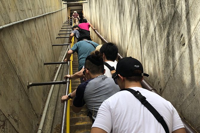 Diamond Head Bike to Hike and Local Lunch - Fitness and Accessibility