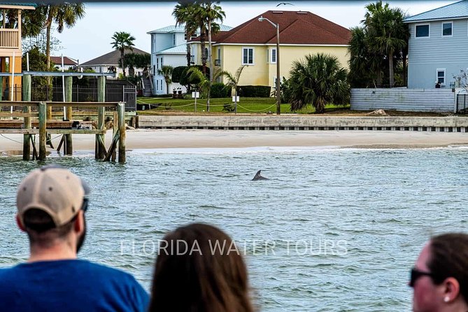 Dolphin and Wildlife Adventure of St. Augustine - Insights From the Naturalist Guide