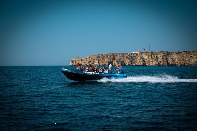 Dolphin Watching From Lagos With Marine Biologists - Additional Wildlife and Scenic Highlights