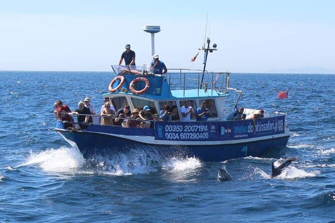 Dolphin Watching in Gibraltar Dolphin Safari V.I.P - Exploring the Maritime History of the Strait
