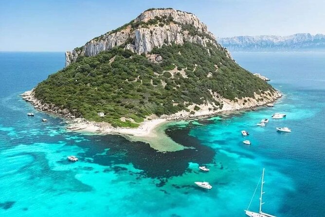 Dolphin Watching Tour With Snorkeling From Olbia - Additional Information