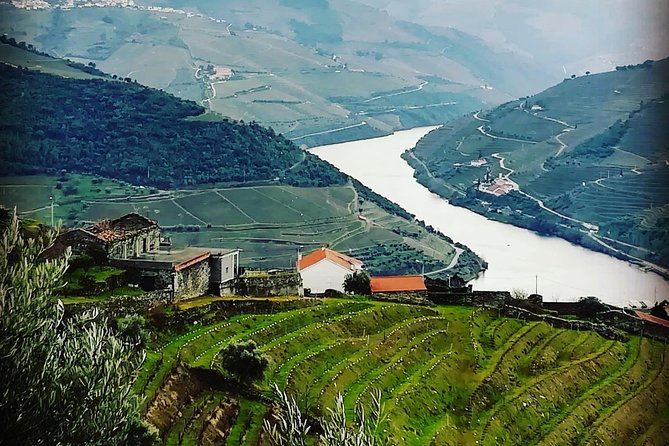 Douro Valley and Amarante Small Group Wine Tour From Porto - Inclusions and Options