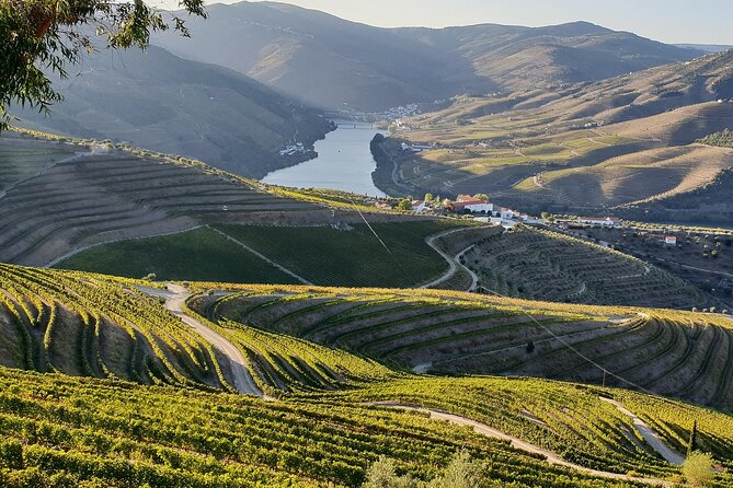 Douro Valley Private Tour (All Inclusive) Port Tasting and Lunch - Transport and Accessibility