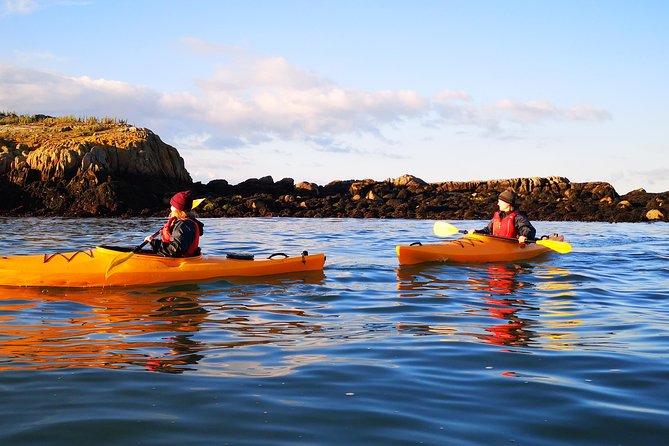Dublin Bay Seal Kayaking Safari at Dalkey - Exploring the UNESCO-listed Biosphere