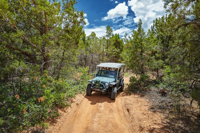 East Zion East Rim Jeep Tour - Accessibility and Suitability