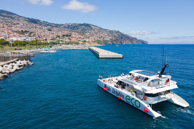 Eco-Friendly Catamaran Dolphin and Whale Watching - Meeting and Pickup Information