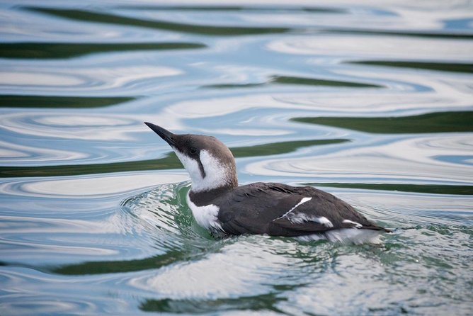Elkhorn Slough Wildlife Tour - Customer Reviews and Ratings