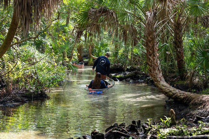 Explore The Chaz: Exclusive Clear Kayak Tours Near Crystal River - Equipment and Amenities