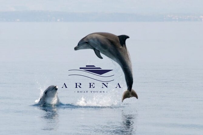 Fantastic DOLPHIN & SUNSET TOUR With Dinner (Pula - NP BRIJUNI) - Dolphin Sightings in Their Natural Habitat