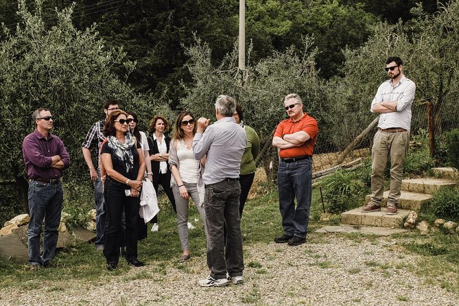 Florence to Tuscany: Chianti, Siena, San Gimignano & Wine + Lunch - Guides and Transportation