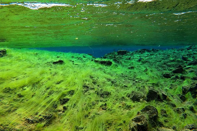 Freedive Silfra Half Day Tour - Inclusions in the Freedive Silfra Half Day Tour