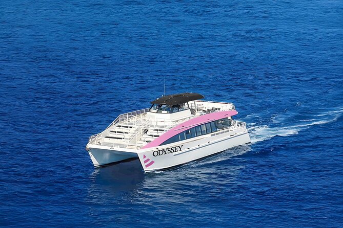 Friday Night Waikiki Fireworks Catamaran Cruise - Customer Feedback and Ratings