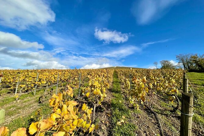 From Reims: Full Day Champagne Mumm, Family Growers & Lunch - Scenic Drive Through Hautvillers