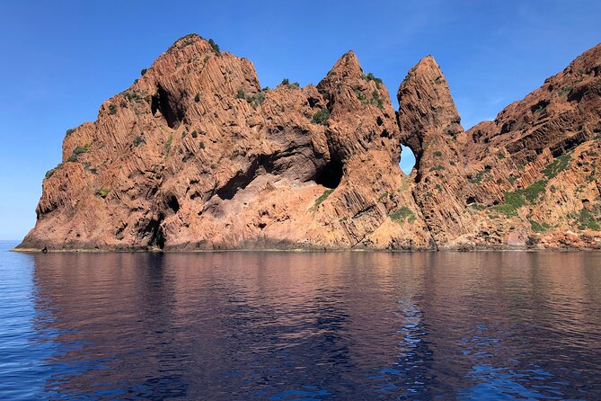 From Sagone/Cargèse: Scandola Calanques Piana Girolata Swimming - Traveler Feedback and Insights