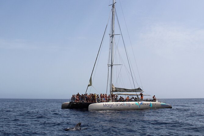 Fuerteventura: Magic Select Catamaran Trip With Food & Drinks - Customer Feedback and Experiences