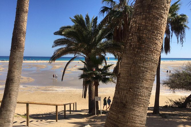 Fuerteventura South Exclusive Tour - Tour Experience and Guides