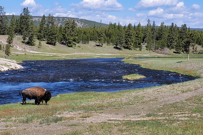 Full-Day Guided Yellowstone Day Tour - Experienced and Knowledgeable Guides