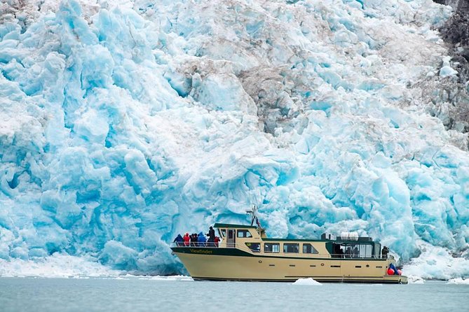 Full-Day Kenai Fjords National Park Northwestern Cruise - Meeting Point and Schedule