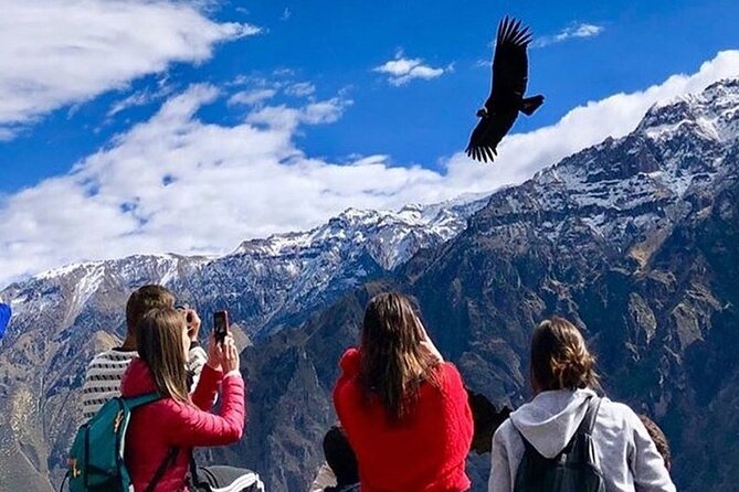 Full Day Tour to Colca From Arequipa - Tour Experience and Feedback