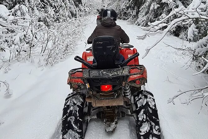 Full Day Tour Zakopane Snowmobiles Thermal Baths From Krakow - Indulge in Traditional Grilled Cheese Oscypek