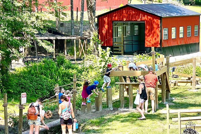 Gem Mining and Goat Farm Walking Tour in Hendersonville - Gem Mining Experience