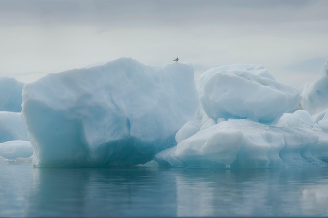 Glacier Lagoon and Diamond Beach Guided Day Trip From Reykjavik - Experiencing the Skógafoss and Seljalandsfoss Waterfalls