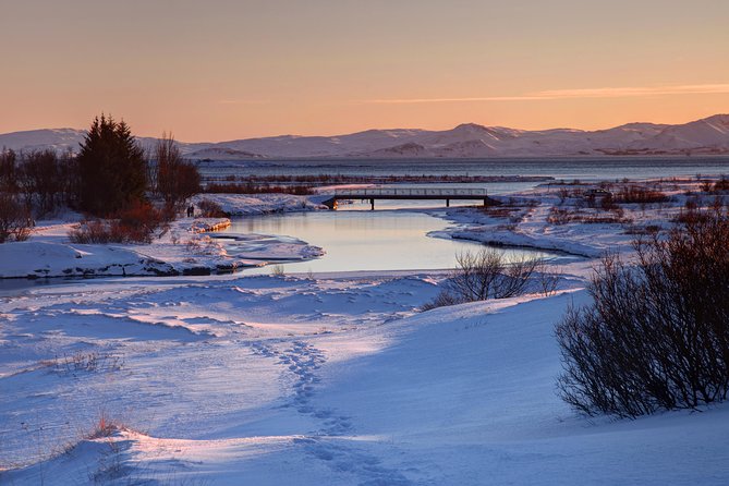 Golden Circle Day Tour in Mini Bus From Reykjavik With Fridheimar Tomato Farm - Tour Experience and Guide Quality