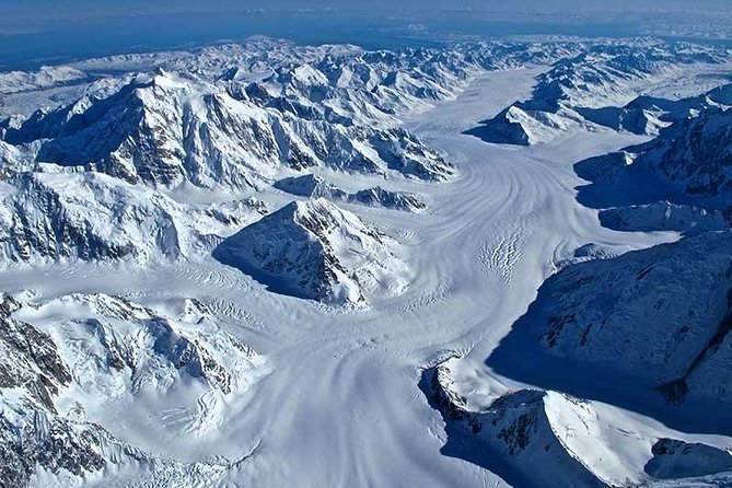 Grand Denali Flightseeing Tour From Talkeetna - Traveler Reviews and Experiences