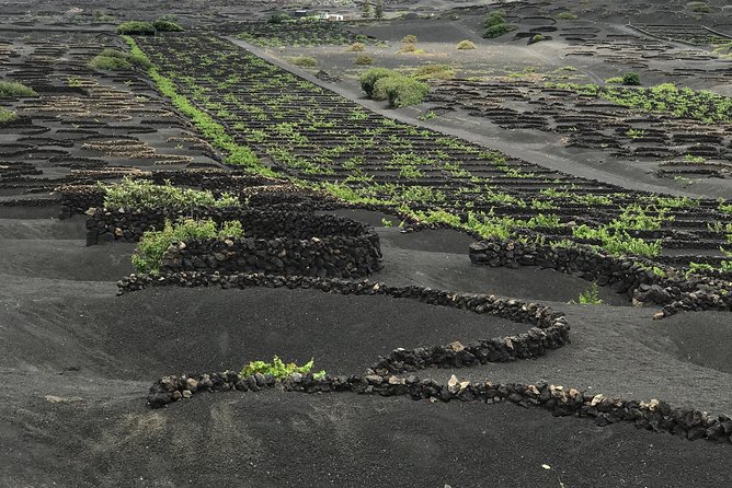 Grand Tour Lanzarote Experience: the Footprint of the Landscape - Coastal Wonders: Admiring the Los Hervideros Cliffs